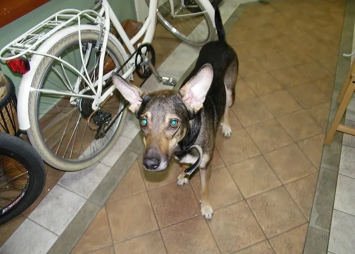 Words & Swords בית אירוח קרקוב