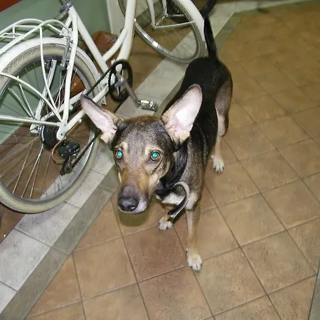 Words & Swords 民宿 克拉科夫